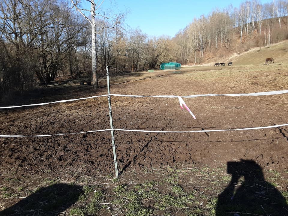 rockymountainhorses friedmannsdorf